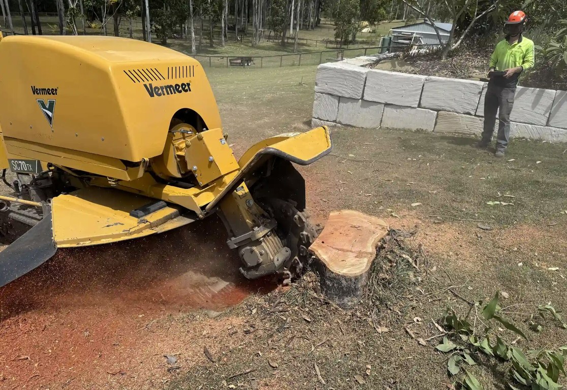 Stump Grinding & Removal service in Delano, CA